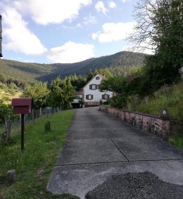 Wangenbourg-Engenthal Apartment | Gîte des abeilles du Kohlberg