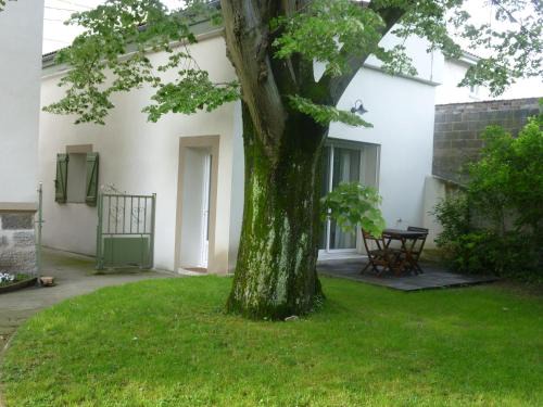 Vienne House | Gîte du Tilleul