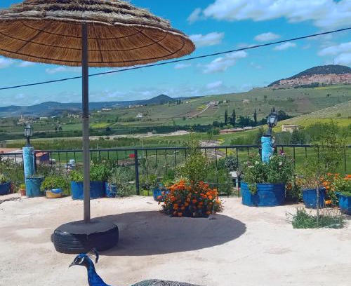 Zaouia Ben Smine Hotel | Gîte Forest Tagroumet traditionel