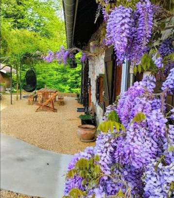 Meyrieux-Trouet House | Gîte La Bergerie et sa piscine chauffée