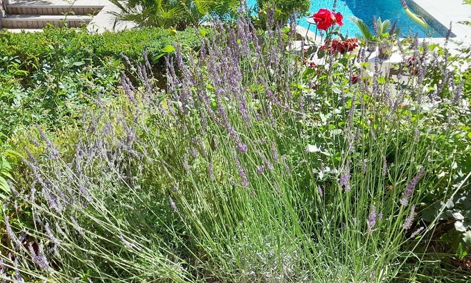 Le Bosc House | Gîte les jasminsde Sallèles