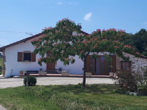 Saint-Loubouer House | Gîte Pouton