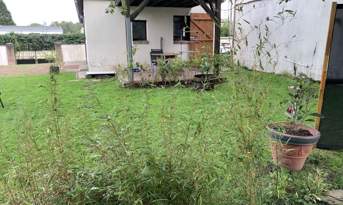 Dompierre-sur-Authie House | Gîtes Levidence