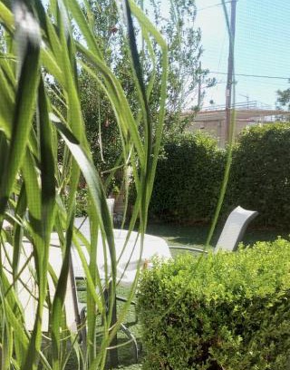 Salamis Apartment | Galazio suites 3