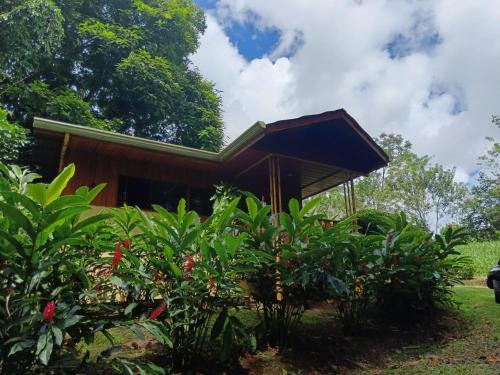 Penas Blancas House | Gambas Lodge