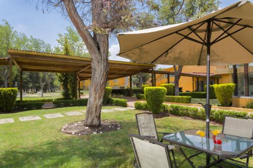 Pachuca Hotel | Gamma Pachuca
