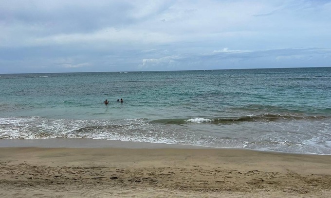 Mediania Alta Apartment | Garden Level A104 Beach Access