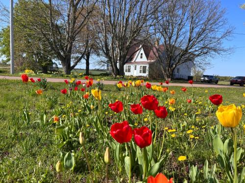Borden-Carleton Apartment | Garden View near Confederation Bridge and Beaches