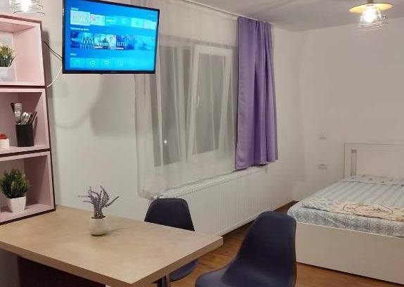 Tirgu Ocna Apartment | GARSONIERA DANIA&PETRU 1