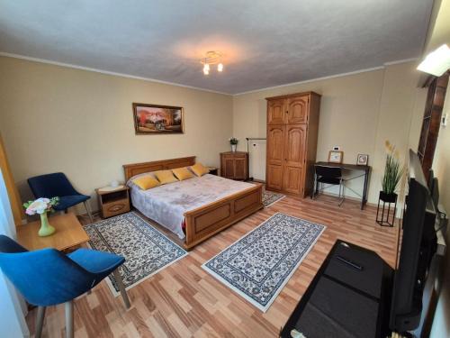 Dragasani Apartment | Garsoniera Drăgășani