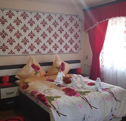 Baile Felix Apartment | Garsoniera Lorelai