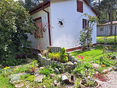 Zschepplin House | gemütlicher Bungalow am Rand der Dübener Heide