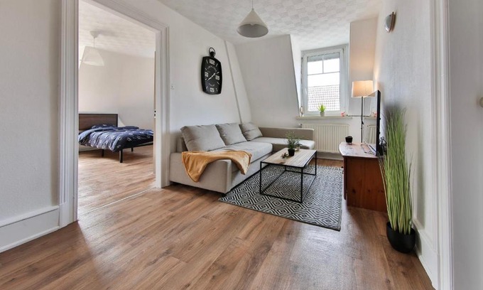 Mulhouse Apartment | Generous 3-bedrooms under the roof downtown - Dodo et Tartine