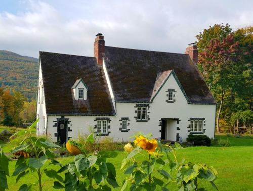 Windham House | Georgian Garden