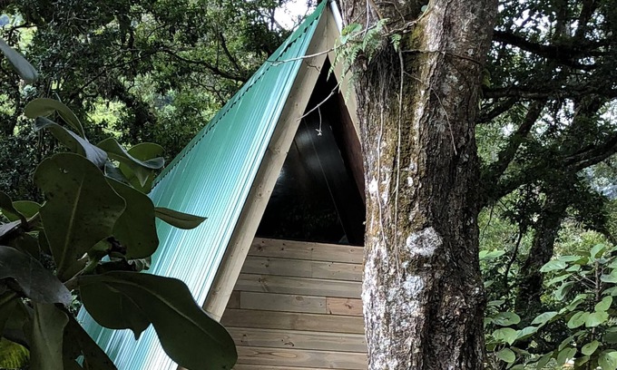 San Gerardo de Dota Apartment | Get away to The Sanctuary in the cloud forest of San Gerardo de Dota