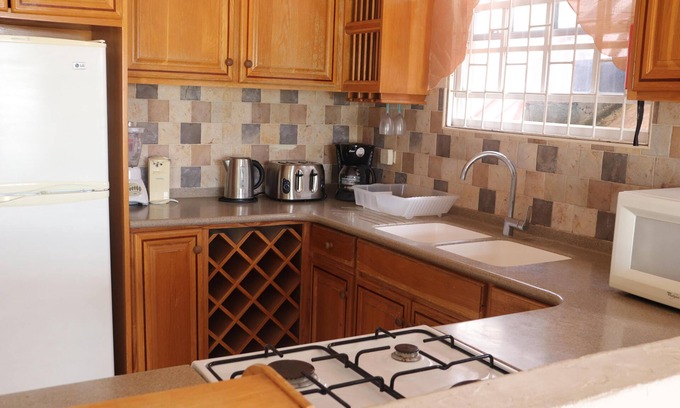 Douglas Apartment | Ginger Lily 2-bed Suite at Sungold House Barbados