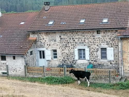 Le Malzieu-Ville Apartment | Gite a la ferme