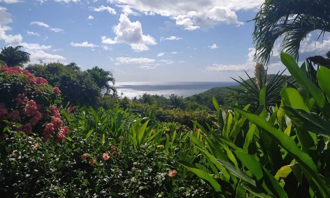 Malendure Apartment | Gîte- appart' Ylang Ylang small sea view in the heart of a tropical garden