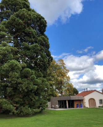Bainville-aux-Saules House | Gite avec mezzanine le Clos des Sœurs