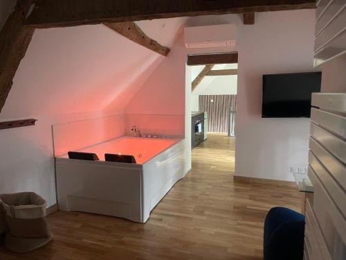 Lailly-en-Val Apartment | Gite balnéo