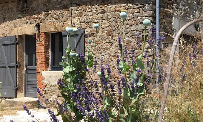 Montigny-sur-Armancon House | Gîte de la Pisserotte, located in the countryside at the tail of Pont lake