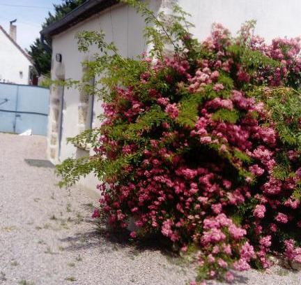 Louchy-Montfand House | Gite de Marcureau