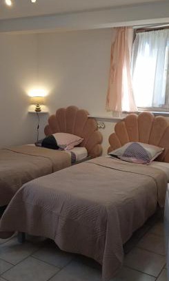 Ameugny House | gite des palmiers
