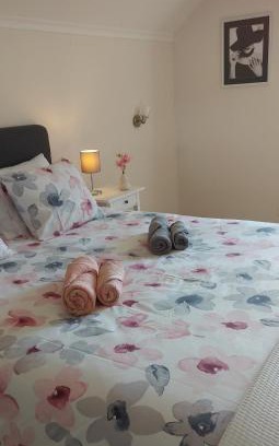 Wepion Apartment | Gite L'Écureuil Namur Wépion