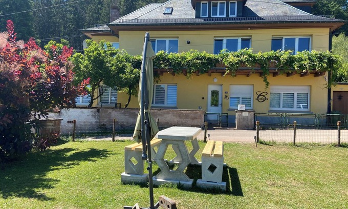 Saulxures House | Gîte LeCLARA in the mountains, billiards, jacuzzi, sauna. pets allowed