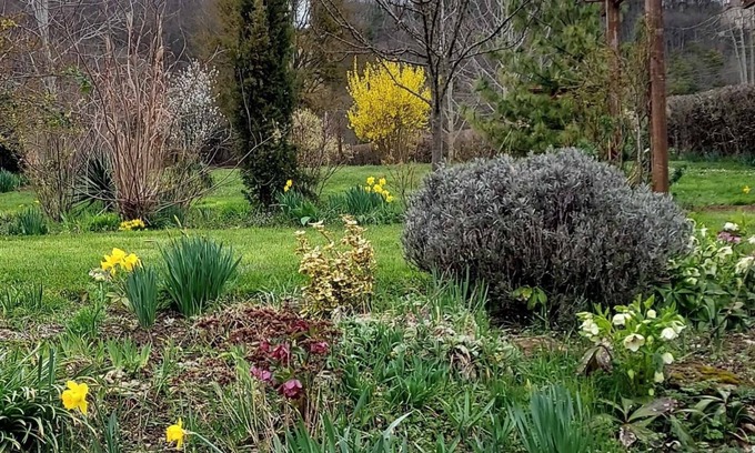 Saint-Ythaire House | Gite les Mésanges