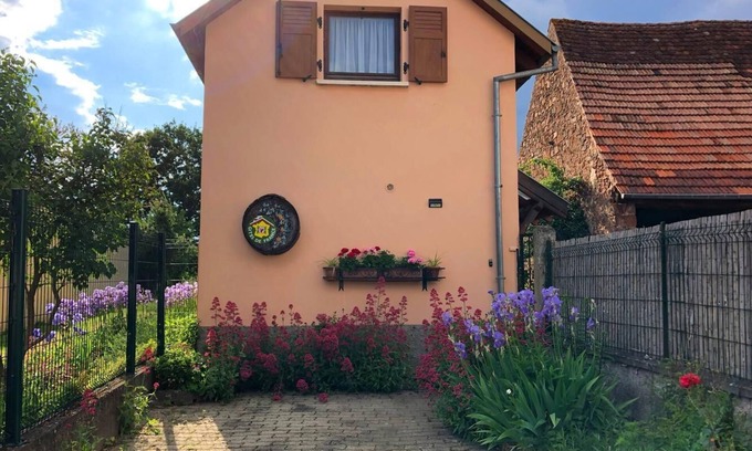 Gresswiller House | Gîte located on the Strasbourg and Colmar wine route, Gresswiller. Christmas market