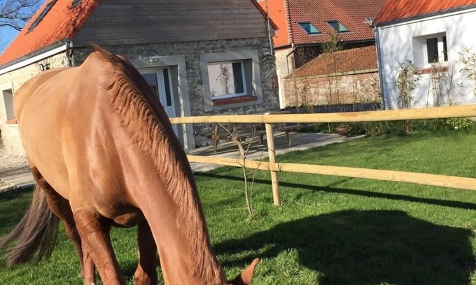 Caffiers Other | Gîte "Majesty" 4-5 people - Equestrian gite - near sea and forest
