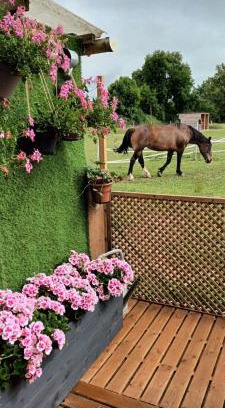 Malleville-sur-le-Bec House | Gite o vert