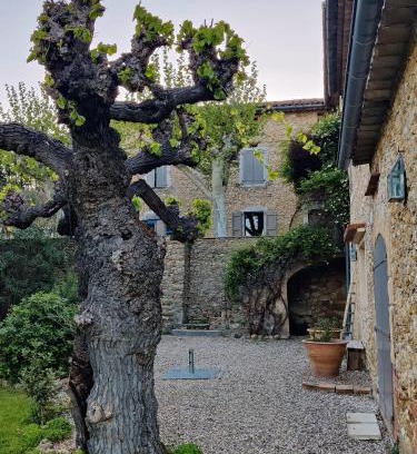 Boisset-et-Gaujac House | Gite proche de la Bambouseraie