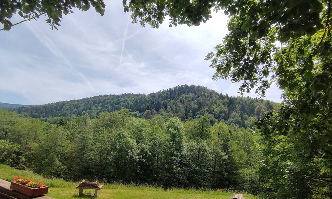 Miellin Apartment | Gite standing Vosges du Sud and plateau of a thousand ponds