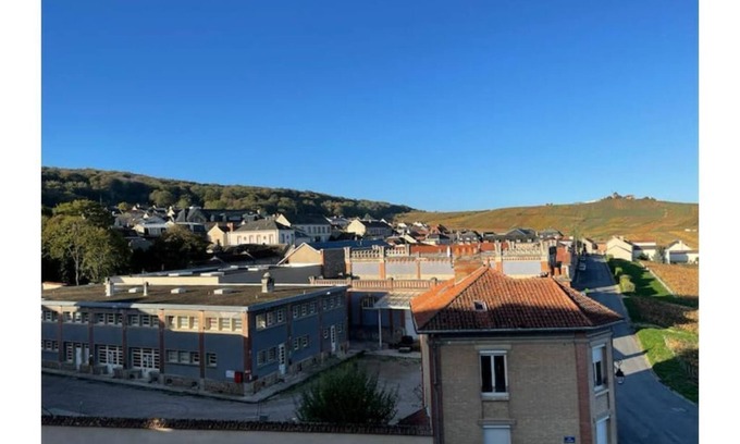 Verzenay House | Gite with vineyard view for 6 people.