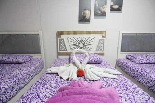 Giza Hotel | Giza City Hotel-الجيزة سيتى اوتيل