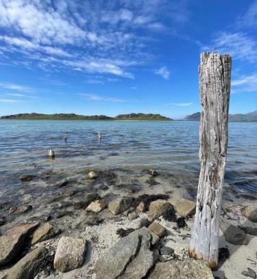 Vinje House | Gjest huset Bøveien 468