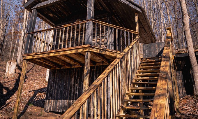 Lynx Cabin | Glamping Cabin | Huge Window | Cliff and Animal Views