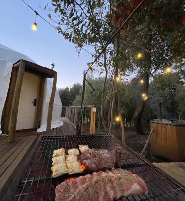 Bajos de Lircay Apartment | Glamping Domo 7 Tazas con Tinaja