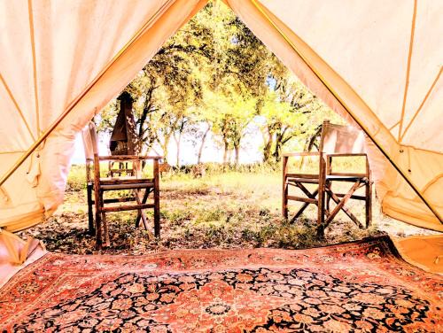 Reauville Other | Glamping Grignan 5 personnes vue exceptionnelle
