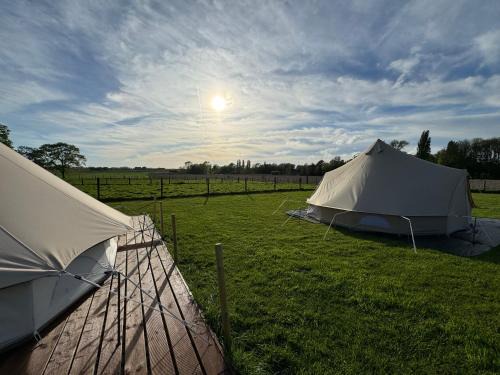 Aartrijke Other | Glamping Mangoeste