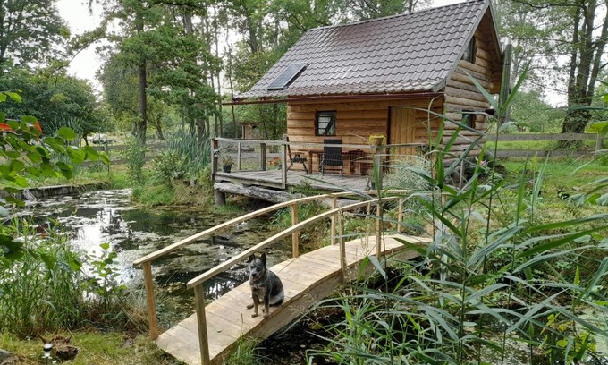 Ceska Kamenice Other | Glamping pod hradem