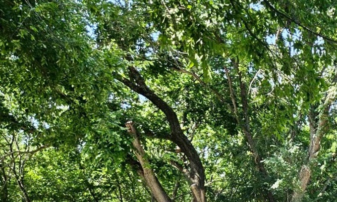 Dawson House | Glamping RV The Doris - Lakefront