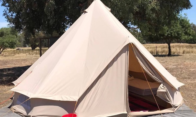 Violet Town Other | Glamping Tent in a farm with lots of pets
