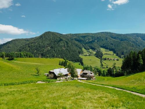 Gnesau Apartment | Glatz Hof Appartement Nockberge