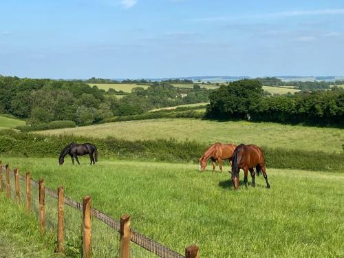 Bourton Apartment | Glebe Barn, Little Glebe Farm