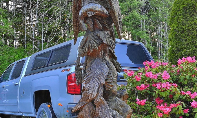 Port Hardy Hotel | Glen Lyon Inn & Suites