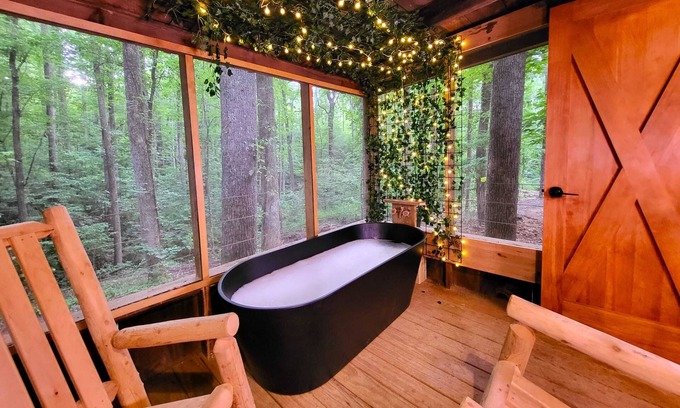Saluda Cabin | Good Times cabin at Cabin Fever in NC!