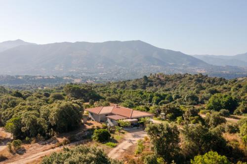 Sarrola-Carcopino Apartment | Gozzi Mandriolu